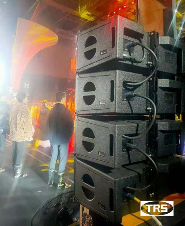 G-20 Dual 10-palcový Professional Stage Line Array 1